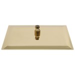 vidaXL Cap de duș tip ploaie pătrat, auriu 40 x 40 cm oțel inoxidabil vidaXL Cap de duș tip ploaie pătrat, auriu 40 x 40 cm oțel inoxidabil