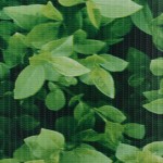 vidaXL Panouri intimitate grădină, 4 buc., verde, 35x0,19 m, PVC vidaXL Panouri intimitate grădină, 4 buc., verde, 35x0,19 m, PVC