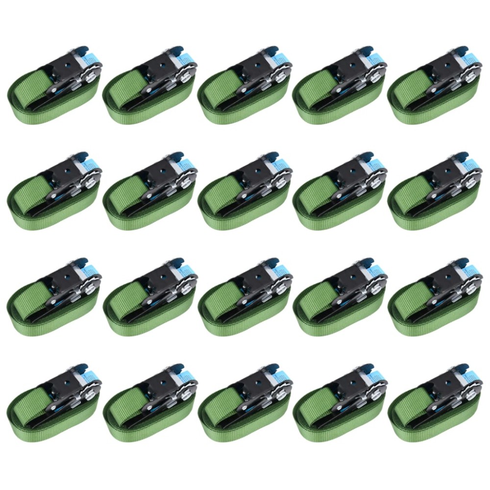 vidaXL Chingi de fixare cu clichet, 20 buc., verde, 6 m, 800 daN