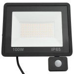 vidaXL Proiector LED cu senzor, 100 W, alb rece vidaXL Proiector LED cu senzor, 100 W, alb rece