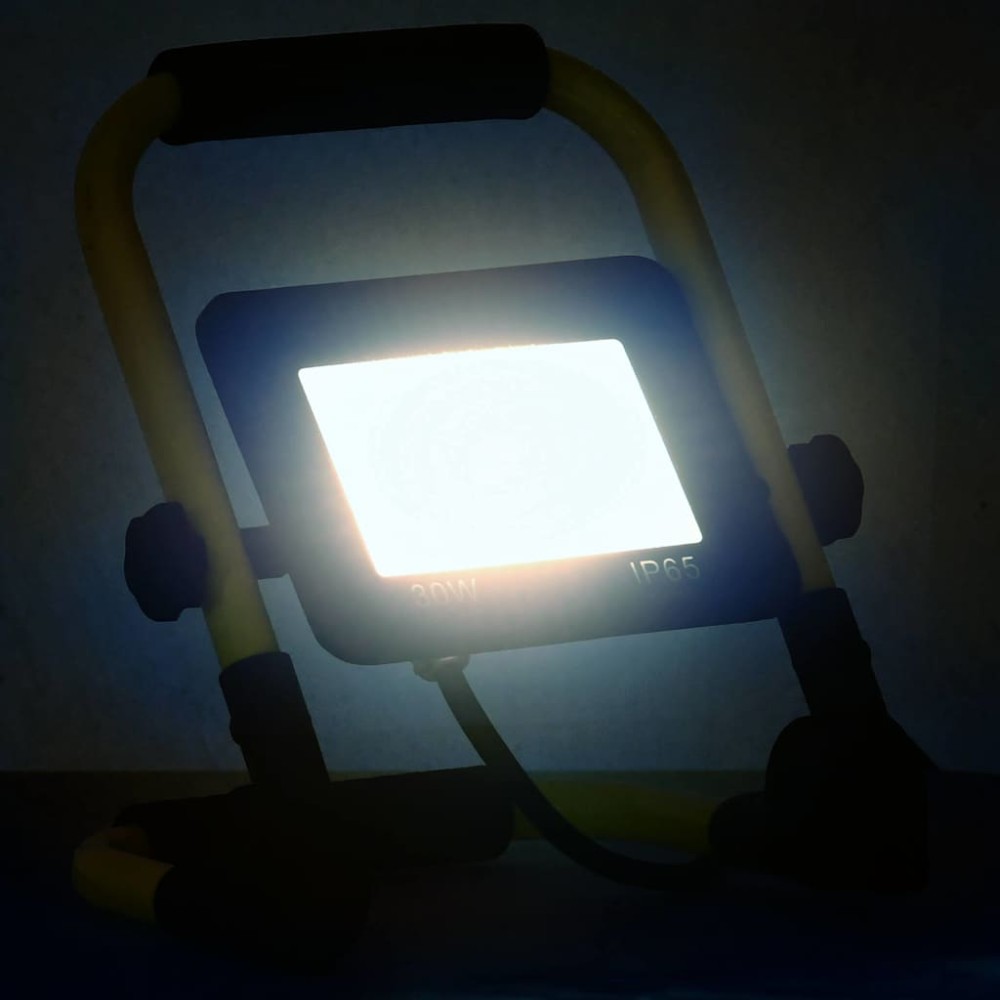 vidaXL Proiector LED cu mâner, 30 W, alb rece
