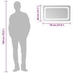 vidaXL Oglindă de baie cu LED, 70x40 cm