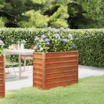 vidaXL Strat înălțat de grădină, ruginiu, 100x40x77 cm, oțel corten vidaXL Strat înălțat de grădină, ruginiu, 100x40x77 cm, oțel corten