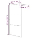 vidaXL Paravan de duș walk-in negru 100x195 cm sticlă ESG transparentă vidaXL Paravan de duș walk-in negru 100x195 cm sticlă ESG transparentă