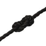 vidaXL Frânghie de lucru, negru, 20 mm, 100 m, polipropilenă vidaXL Frânghie de lucru, negru, 20 mm, 100 m, polipropilenă