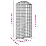 vidaXL Coș gabion arcuit, 100x30x220/240 cm, fier galvanizat