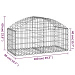 vidaXL Coș gabion arcuit, 100x50x40/60 cm, fier galvanizat vidaXL Coș gabion arcuit, 100x50x40/60 cm, fier galvanizat