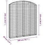 vidaXL Coș gabion arcuit, 200x30x220/240, fier galvanizat