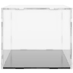 vidaXL Cutie de prezentare, transparent, 34x16x14 cm, acril vidaXL Cutie de prezentare, transparent, 34x16x14 cm, acril