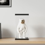 vidaXL Cutie de prezentare, transparent, 20x20x38 cm, acril vidaXL Cutie de prezentare, transparent, 20x20x38 cm, acril