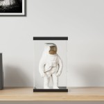 vidaXL Cutie de prezentare, transparent, 22x18x35 cm, acril vidaXL Cutie de prezentare, transparent, 22x18x35 cm, acril