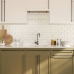 vidaXL Mânere de dulap, 5 buc., negru, 480 mm, oțel inoxidabil vidaXL Mânere de dulap, 5 buc., negru, 480 mm, oțel inoxidabil