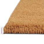 vidaXL Covoraș de ușă, 5 buc., natural, 40x60 cm, fibre de cocos vidaXL Covoraș de ușă, 5 buc., natural, 40x60 cm, fibre de cocos