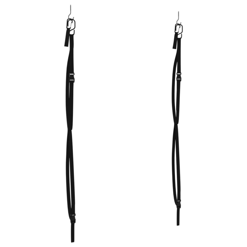 vidaXL Curele depozitare duble de caiac, cu cleme pentru vâsle, 50 kg