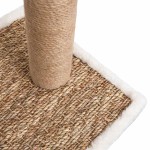 vidaXL Ansamblu pisici, perie arcuită de îngrijire & stâlp de zgâriat vidaXL Ansamblu pisici, perie arcuită de îngrijire & stâlp de zgâriat