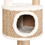 vidaXL Ansamblu pisici cu pernă & stâlp de zgâriat 148cm iarbă de mare vidaXL Ansamblu pisici cu pernă & stâlp de zgâriat 148cm iarbă de mare