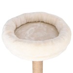 vidaXL Ansamblu pisici cu pernă & stâlp de zgâriat 148cm iarbă de mare vidaXL Ansamblu pisici cu pernă & stâlp de zgâriat 148cm iarbă de mare