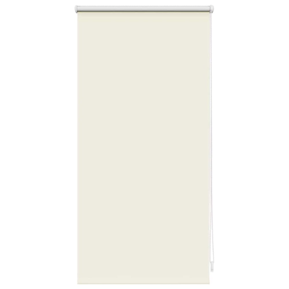 Jaluzea opacă rulabilă, 40 x 100 cm, bej