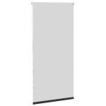 Jaluzea opacă rulabilă, 60 x 120 cm, negru Jaluzea opacă rulabilă, 60 x 120 cm, negru