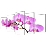 Set tablouri imprimate pe pânză orhidee 100 x 50 cm Set tablouri imprimate pe pânză orhidee 100 x 50 cm