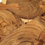 vidaXL Măsuță de cafea, 35 cm, 4 butuci, lemn masiv de acacia vidaXL Măsuță de cafea, 35 cm, 4 butuci, lemn masiv de acacia