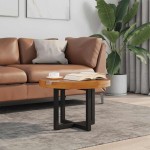 vidaXL Măsuță de cafea, 60 cm, lemn de tec și rășină vidaXL Măsuță de cafea, 60 cm, lemn de tec și rășină