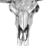 vidaXL Decorațiune de perete tip craniu, aluminiu, argintiu vidaXL Decorațiune de perete tip craniu, aluminiu, argintiu
