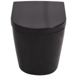 vidaXL Vas toaletă cu montare pe perete, ceramică, negru