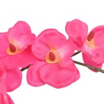 vidaXL Plantă artificială orhidee cu ghiveci, 30 cm, roșu vidaXL Plantă artificială orhidee cu ghiveci, 30 cm, roșu