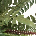 vidaXL Ferigă artificială cu ghiveci, 60 cm, verde vidaXL Ferigă artificială cu ghiveci, 60 cm, verde