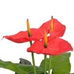 vidaXL Plantă artificială Anthurium cu ghiveci, 90 cm, roșu și galben vidaXL Plantă artificială Anthurium cu ghiveci, 90 cm, roșu și galben