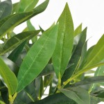 vidaXL Dafin artificial cu ghiveci, 125 cm, verde vidaXL Dafin artificial cu ghiveci, 125 cm, verde