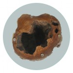 vidaXL Măsuță de cafea, lemn de tec și sticlă, 50 x 40 cm vidaXL Măsuță de cafea, lemn de tec și sticlă, 50 x 40 cm