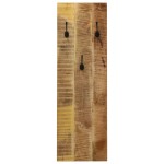 vidaXL Cuier haine de perete, 2 buc., lemn masiv de mango 36x110x3 cm vidaXL Cuier haine de perete, 2 buc., lemn masiv de mango 36x110x3 cm