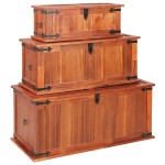 vidaXL Cufere de depozitare, 3 buc., lemn masiv de acacia vidaXL Cufere de depozitare, 3 buc., lemn masiv de acacia