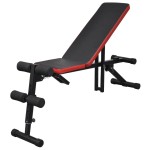 vidaXL Bancă reglabilă pentru abdomene cu set haltere/gantere 30,5 kg vidaXL Bancă reglabilă pentru abdomene cu set haltere/gantere 30,5 kg