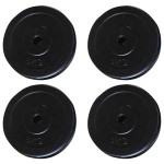 vidaXL Turn de forță montat pe perete cu plăci de greutate, 40 kg