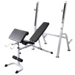 vidaXL Bancă antrenament rastel greutăți, set haltere/gantere, 60,5kg vidaXL Bancă antrenament rastel greutăți, set haltere/gantere, 60,5kg