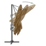 vidaXL Umbrelă de soare de grădină, bază portabilă, taupe vidaXL Umbrelă de soare de grădină, bază portabilă, taupe