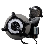 vidaXL Pompe filtru cu nisip, 2 buc., 600 W, 17000 l/h vidaXL Pompe filtru cu nisip, 2 buc., 600 W, 17000 l/h