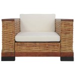 vidaXL Set de canapele cu perne, 2 piese, maro, ratan natural