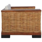 vidaXL Set de canapele cu perne, 2 piese, maro, ratan natural