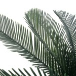 vidaXL Plantă artificială palmier cycas cu ghiveci, verde, 125 cm vidaXL Plantă artificială palmier cycas cu ghiveci, verde, 125 cm