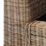 vidaXL Canapea cu 2 locuri cu perne, culoare naturală, ratan vidaXL Canapea cu 2 locuri cu perne, culoare naturală, ratan