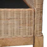 vidaXL Canapea cu 2 locuri cu perne, culoare naturală, ratan vidaXL Canapea cu 2 locuri cu perne, culoare naturală, ratan