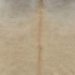 vidaXL Covor din piele de vacă naturală, bej, 150 x 170 cm vidaXL Covor din piele de vacă naturală, bej, 150 x 170 cm
