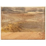 vidaXL Suport pentru reviste, 40x30x50 cm, lemn masiv de mango și oțel vidaXL Suport pentru reviste, 40x30x50 cm, lemn masiv de mango și oțel