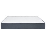 vidaXL Saltea pentru pat cu arcuri, 200 x 160 x 20 cm vidaXL Saltea pentru pat cu arcuri, 200 x 160 x 20 cm