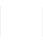 vidaXL Padoc pentru câini, argintiu, 48 m², oțel