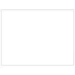 vidaXL Padoc pentru câini, argintiu, 63 m², oțel